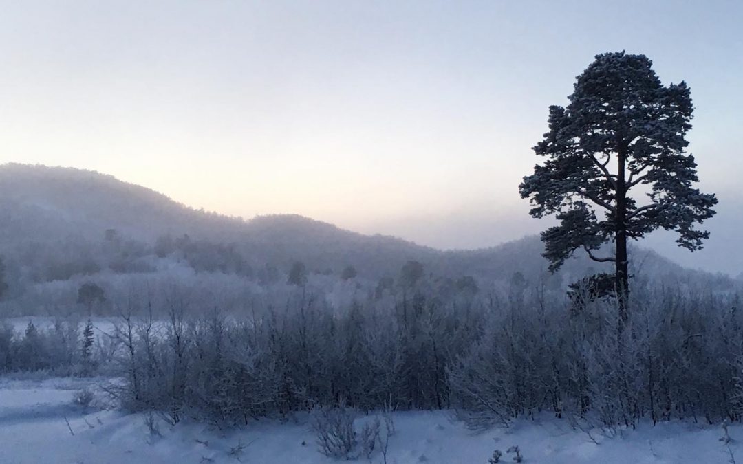 Northern Norway – an Arctic Adventure