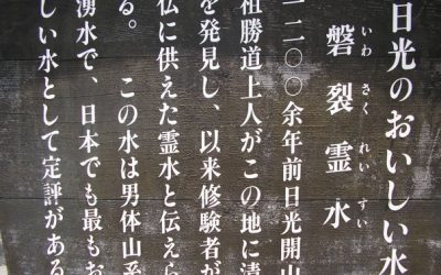 Dear Ellie – A Rough Guide to Tokyo